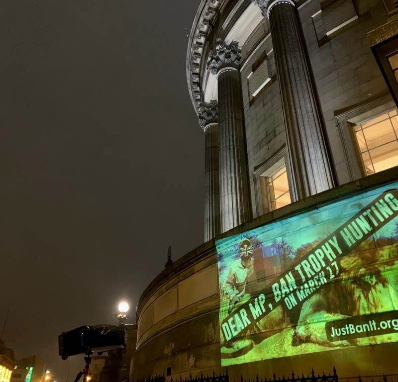 Campaign to Ban Trophy Hunting promo in Liverpool